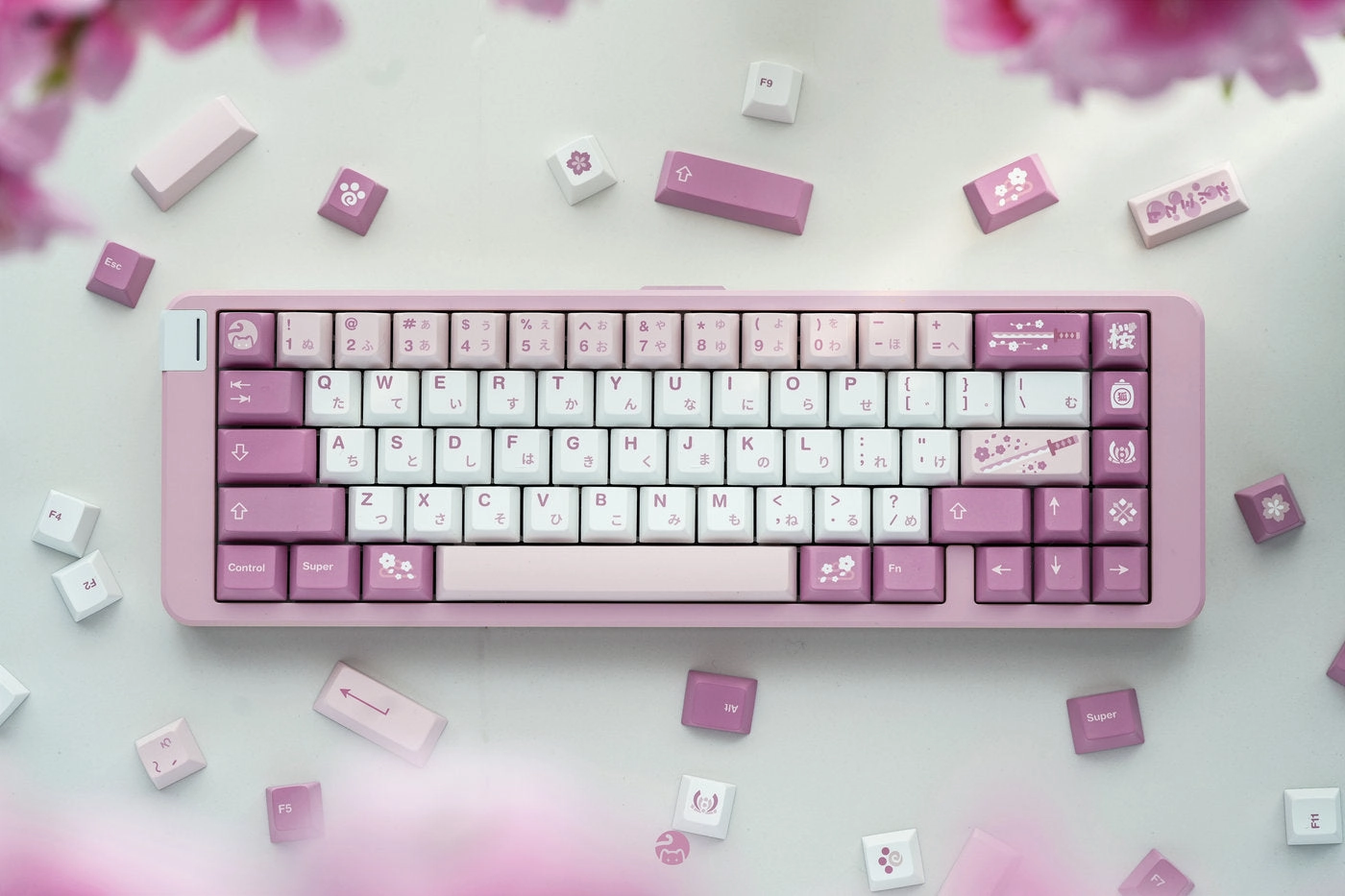 Gaming Switch Setup CATKEYS MIZUTSUNE CHERRY PROFILE PBT DYE-SUBLIMATION KEYCAP SET