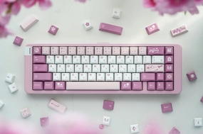 Gaming Switch Setup CATKEYS MIZUTSUNE CHERRY PROFILE PBT DYE-SUBLIMATION KEYCAP SET