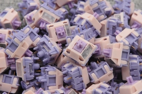 MMD PRINCESS LINEAR V4 SWITCH FACTORY LUBED EDITION (10PCS) Student Workspace Setup Gaming Mode Toggle Setup