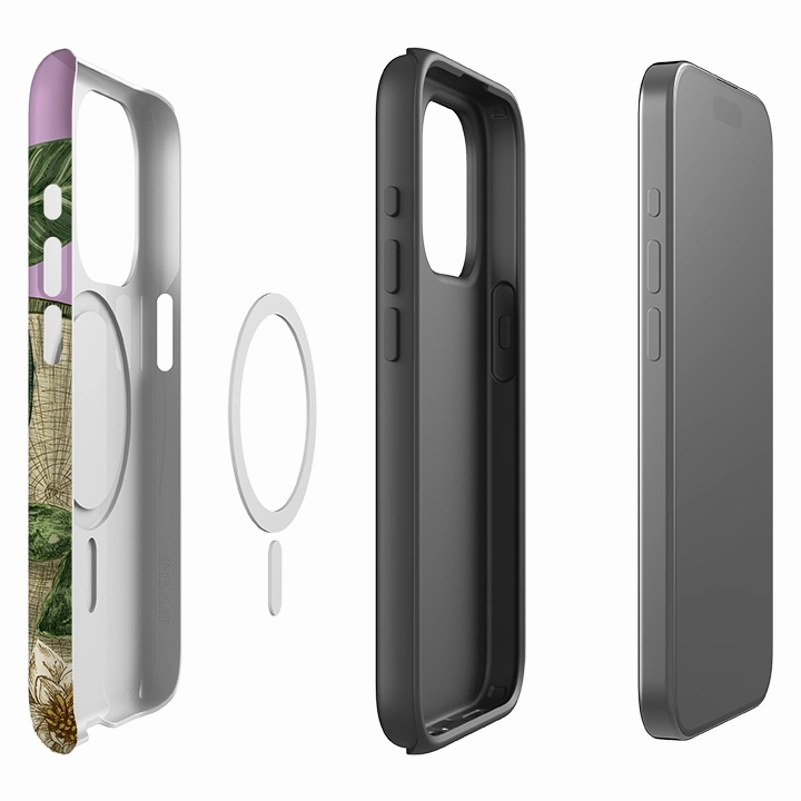 Color Gradient iPhone MagSafe Tough Case -  Frog By Jade Mosinski