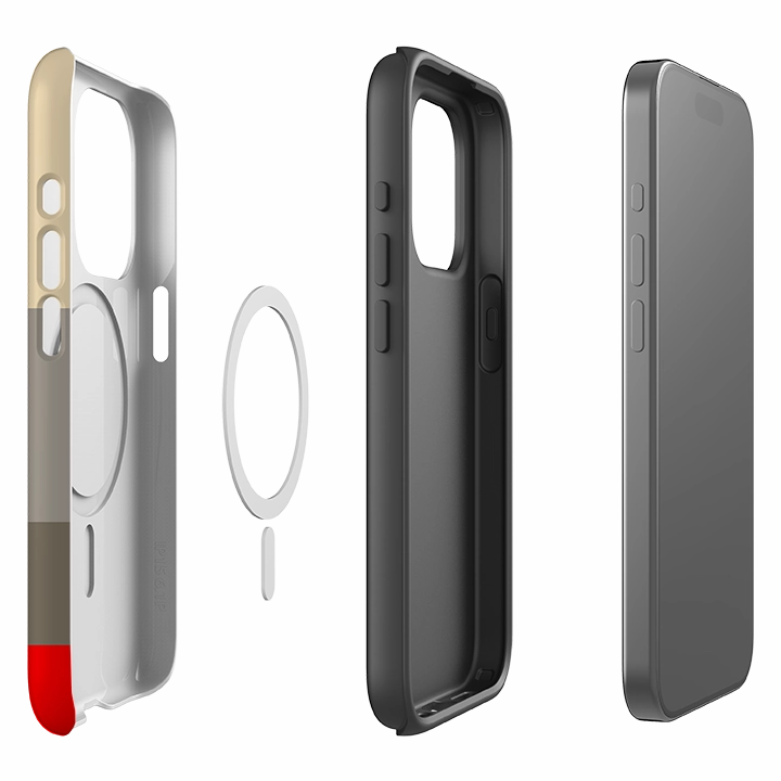 Refined Finish Classic Finish iPhone MagSafe Tough Case -  Paris Chroma