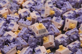 MMD PRINCESS TACTILE V4 SWITCH FACTORY LUBED EDITION (10PCS) Software Developer Setup