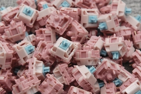 TECSEE BOCCHI LINEAR SWITCH (10PCS) Floating Mechanical Keys